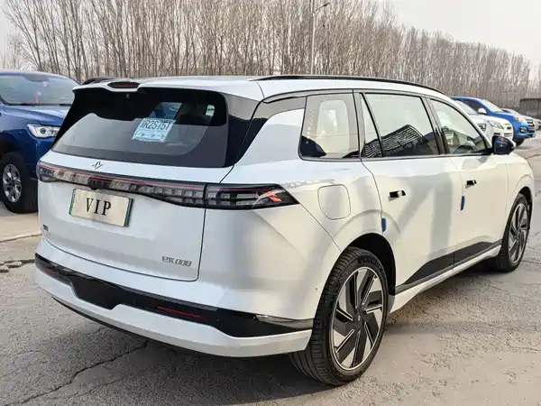 Dongfeng e008 2025