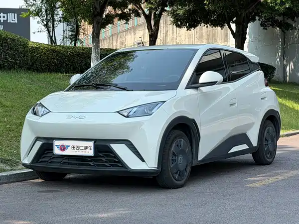 BYD Seagull 2024