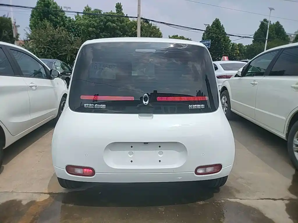 Ora White Cat 2021