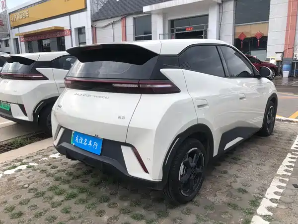 BYD Seagull 2024