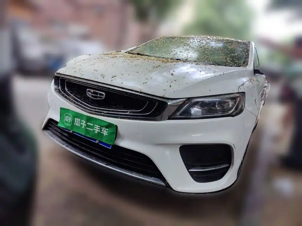 Geely Binrui 2020