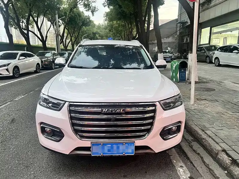 Haval H6 2019 — фото 2