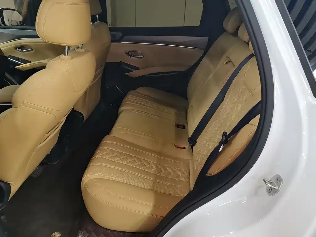 BYD L DM-i 2024 — фото 11