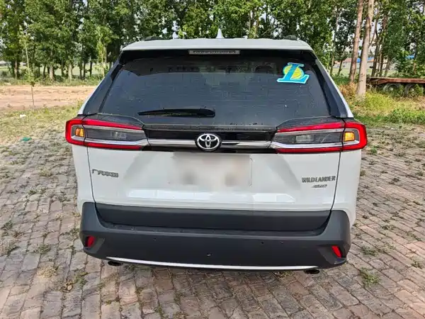 Toyota Wildlander 2020