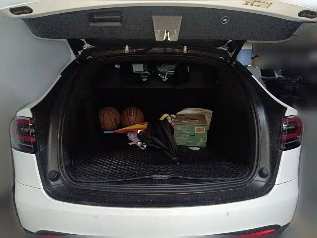 Tesla Model X 2020 — фото 10