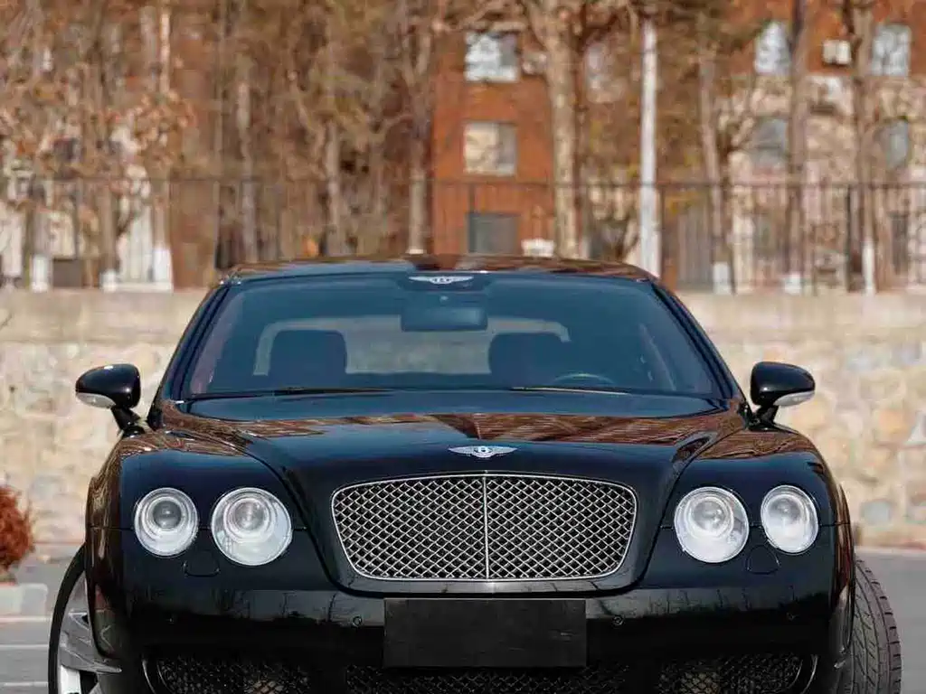 Bentley Flying Spur 2008 — фото 1