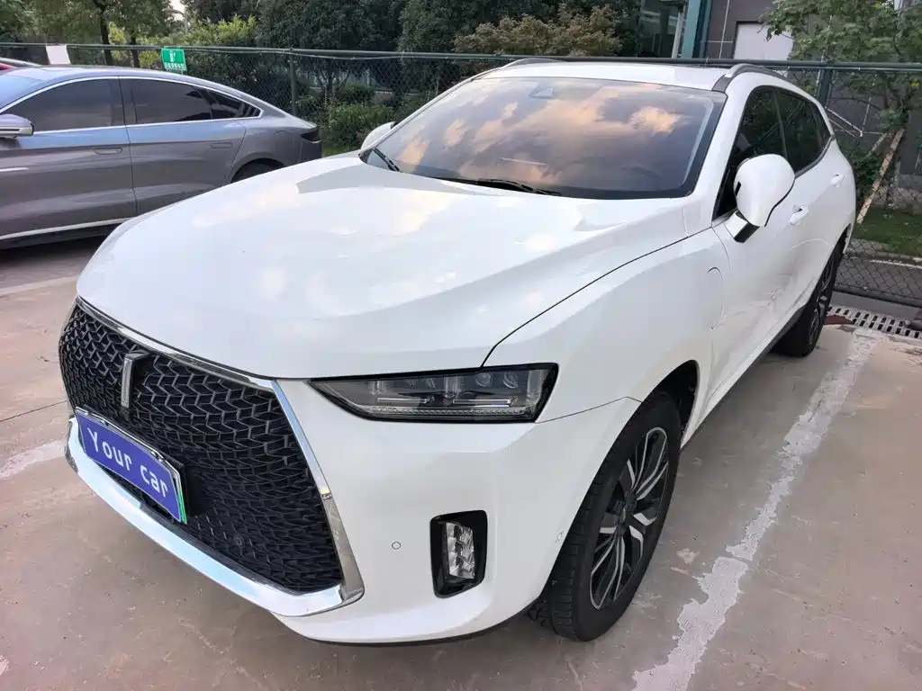 Wey P8 2018