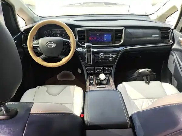 GAC Trumpchi M8 2020