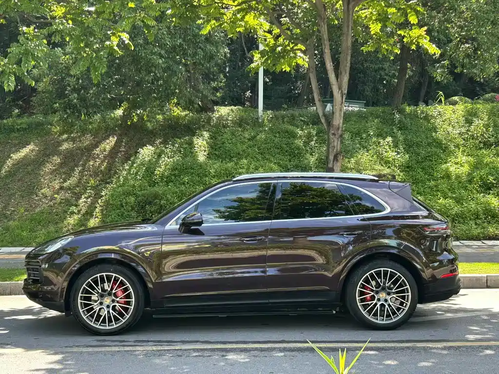 Porsche Cayenne 2019 — фото 18