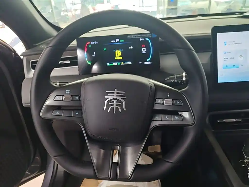 BYD Qin PLUS 2025 — фото 11