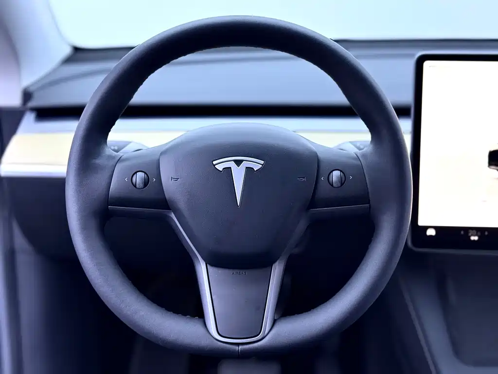 Tesla Model 3 2021 — фото 20