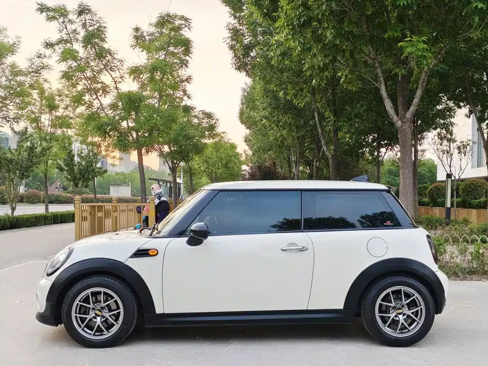 MINI MINI 2013