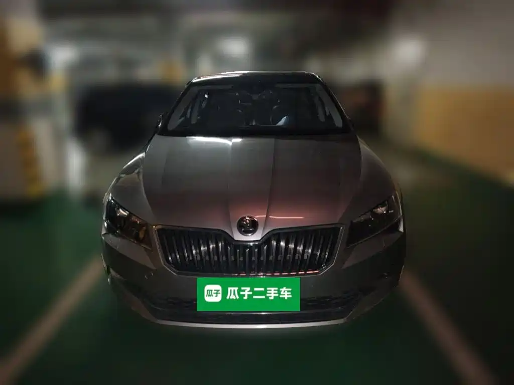 Skoda Speedy 2016