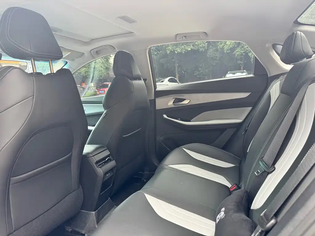 Geely Binrui 2023