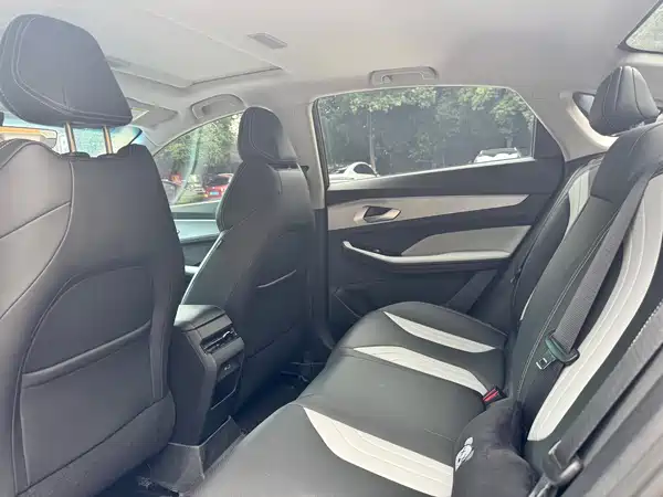 Geely Binrui 2023