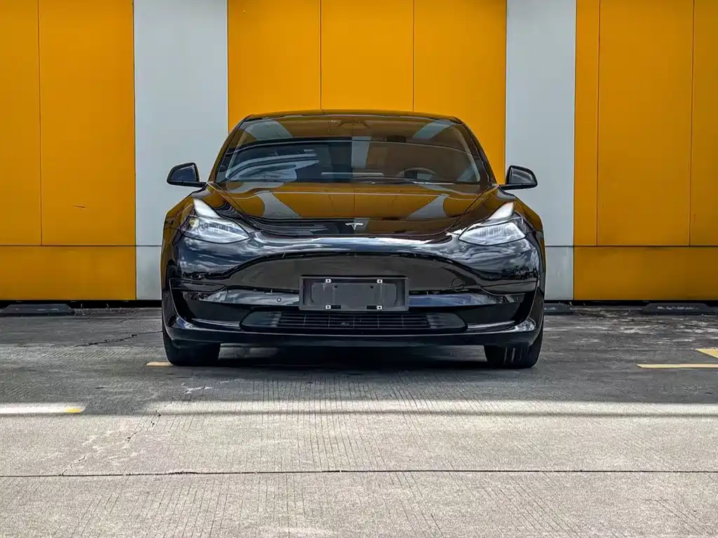 Tesla Model 3 2021 — фото 2