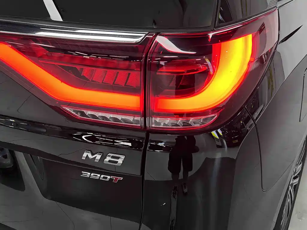 GAC Motor Trumpchi M8 2023 — фото 15