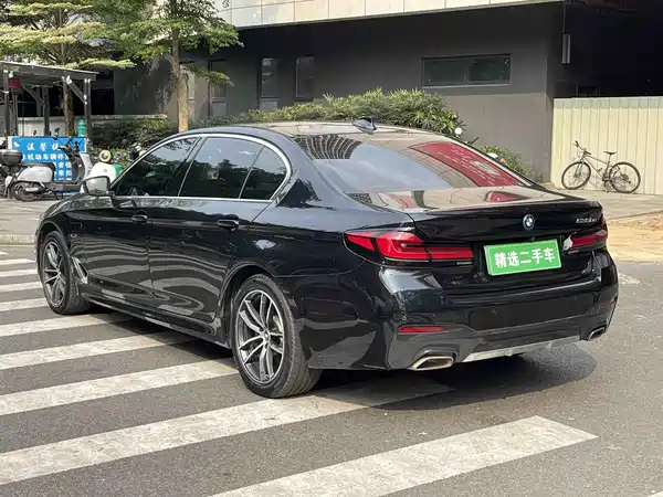 BMW 5 Series New Energy 2021