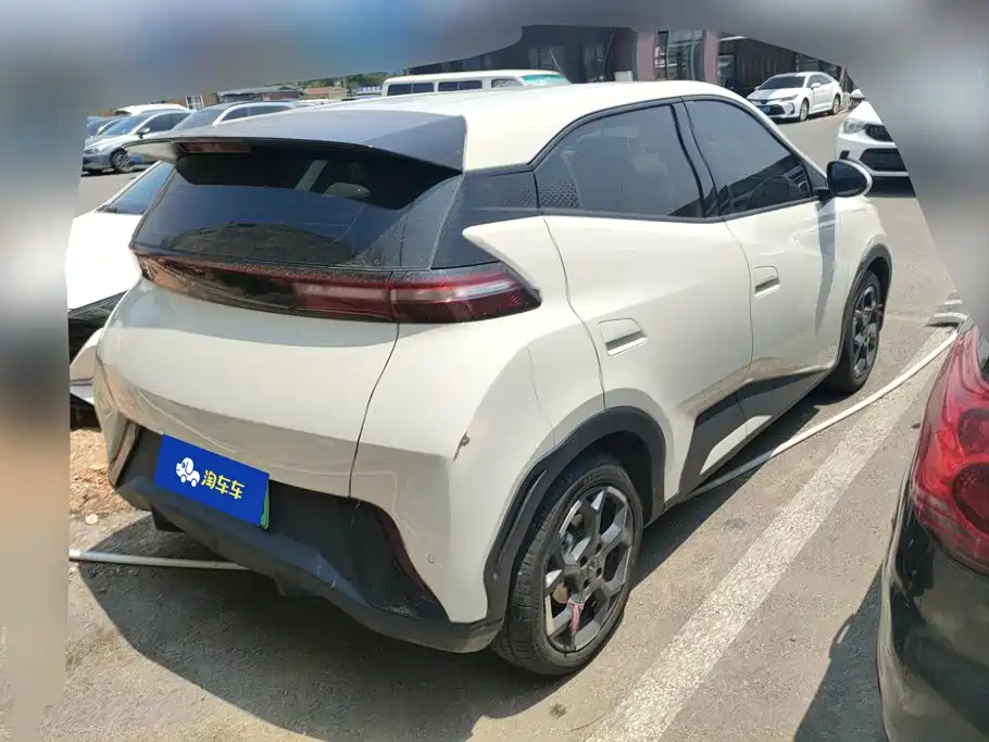 BYD Seagull 2024