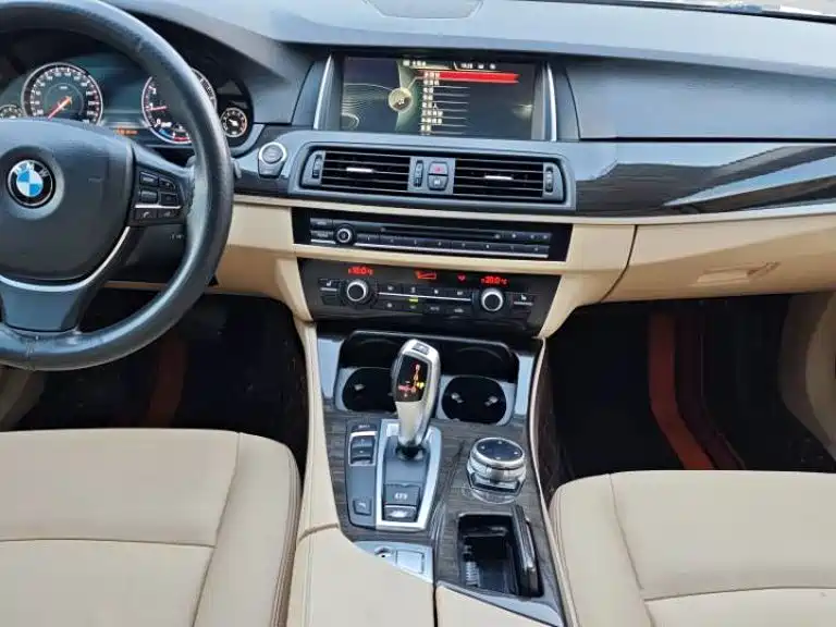 BMW 5 Series 2014