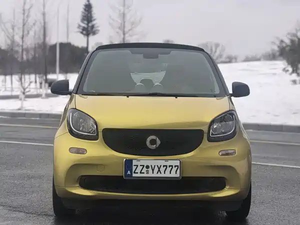 smart fortwo 2018