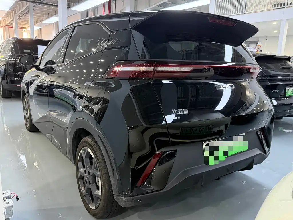 BYD Seagull 2024
