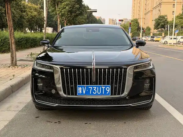 Hongqi H9 2020