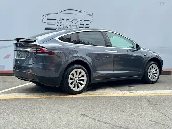 Tesla Model X 2019