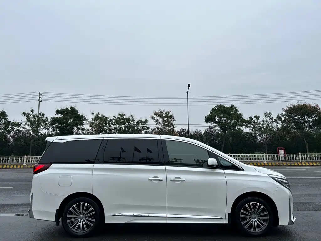 GAC Motor Trumpchi M8 2021 — фото 6
