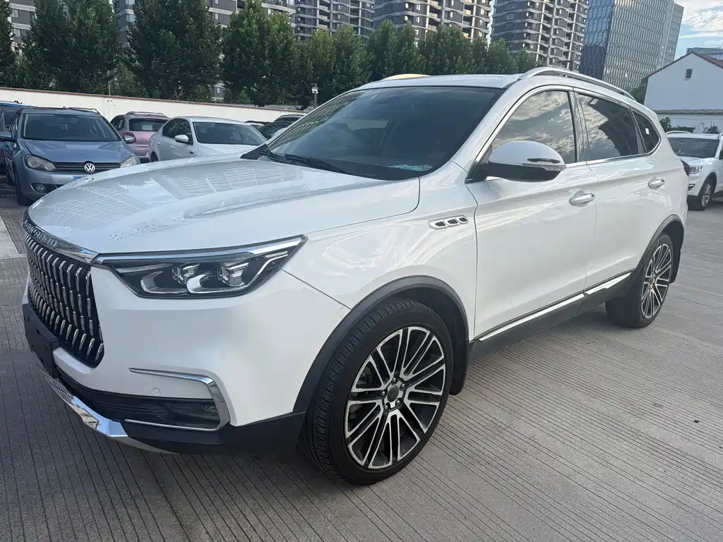 Liebao Mattu 2019 — фото 1