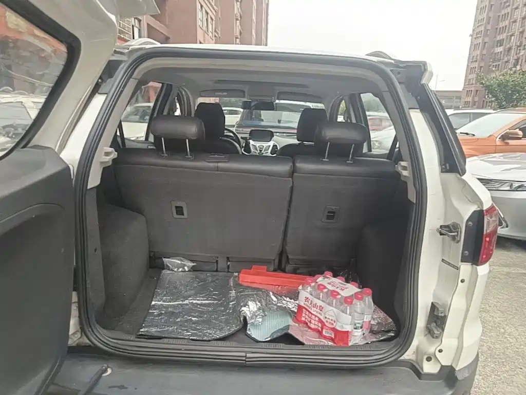 Ford EcoSport 2014 — фото 19