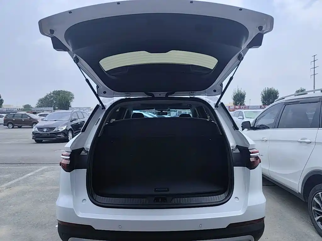 BYD Song Pro 2020 — фото 19