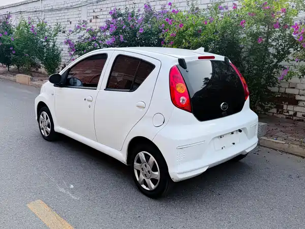 BYD e1 2019