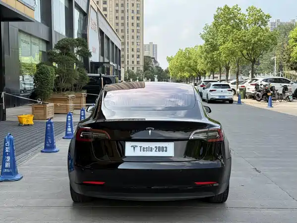 Tesla Model 3 2019