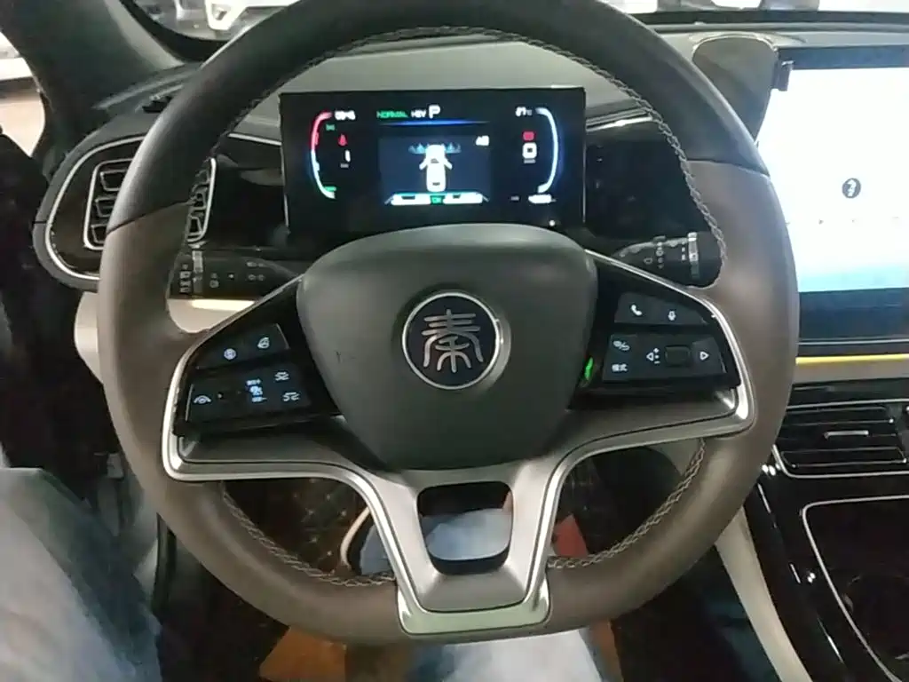 BYD Qin PLUS 2023 — фото 11