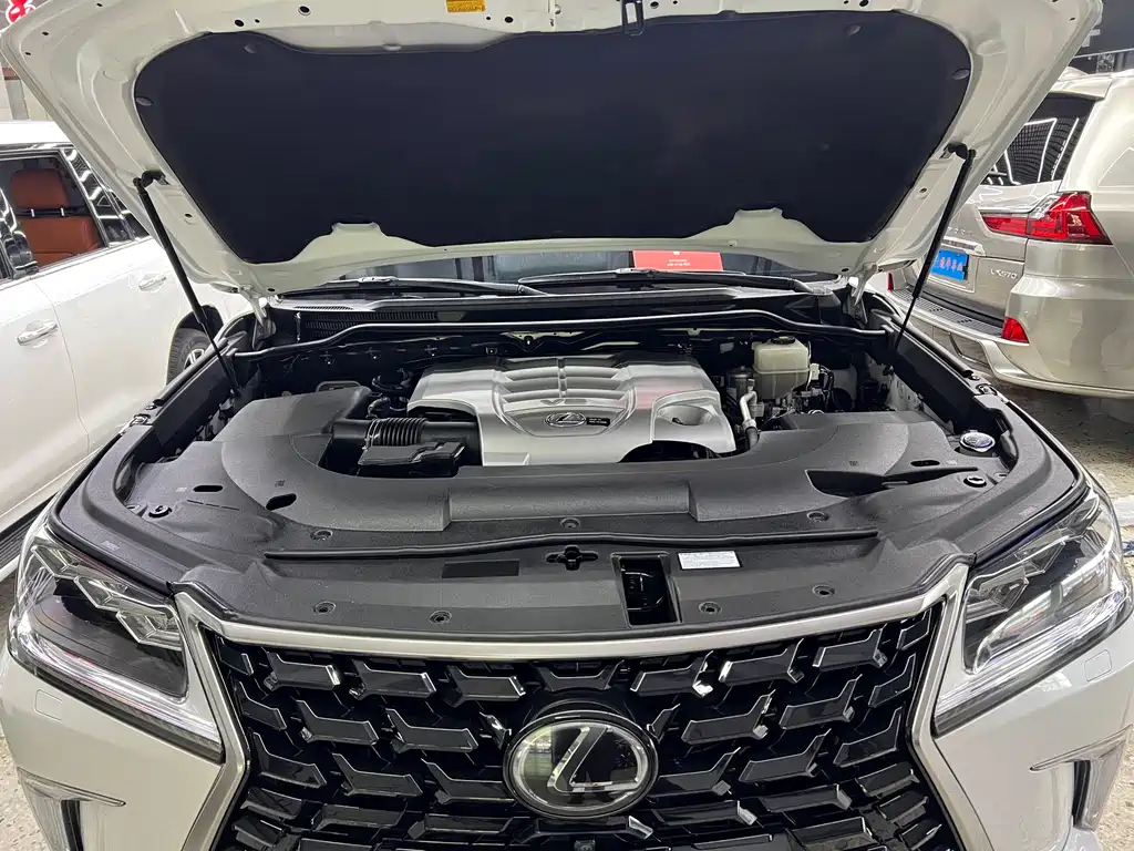 Lexus LX 2019 — фото 10