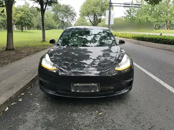 Tesla Model 3 2019