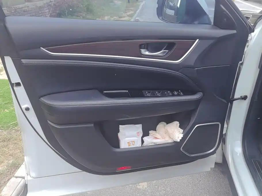 Honda Avancier 2019