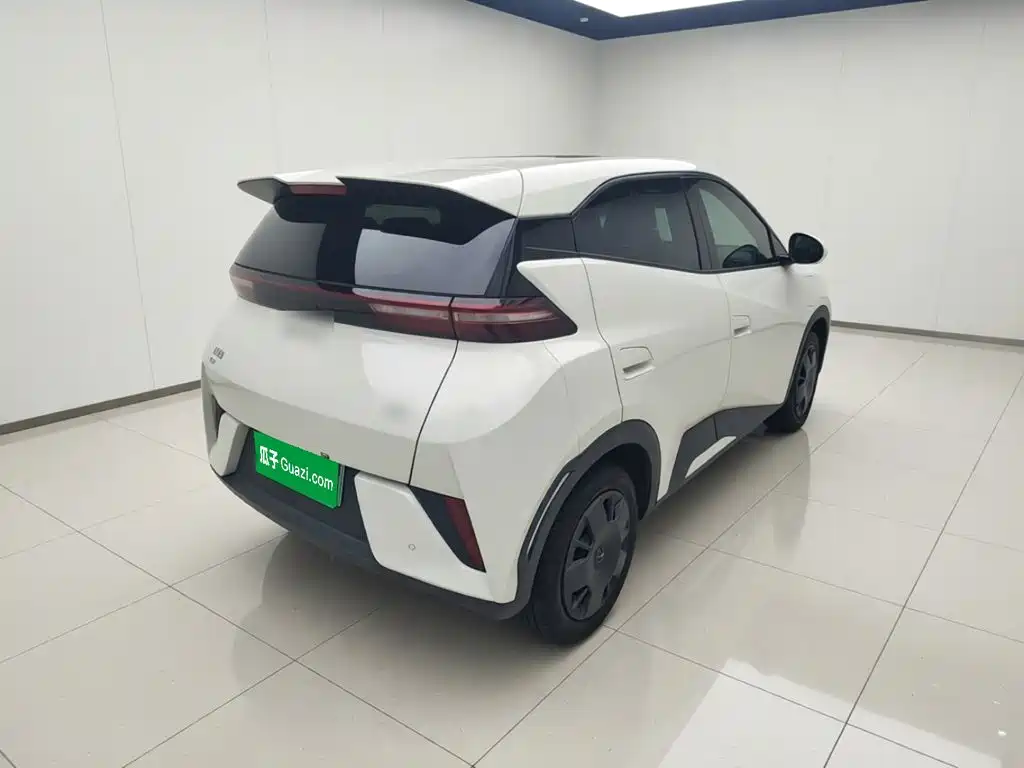 BYD Seagull 2025