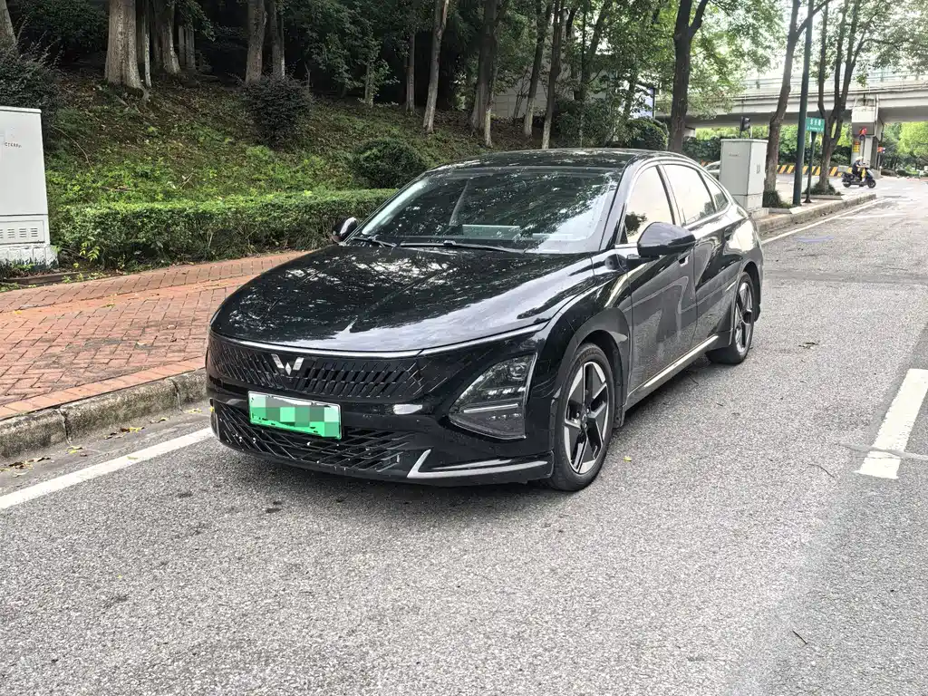 Wuling Starlight 2024