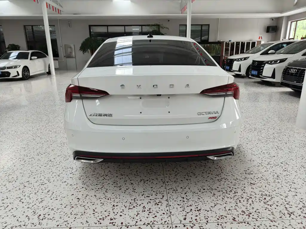 Skoda Octavia 2023 — фото 5