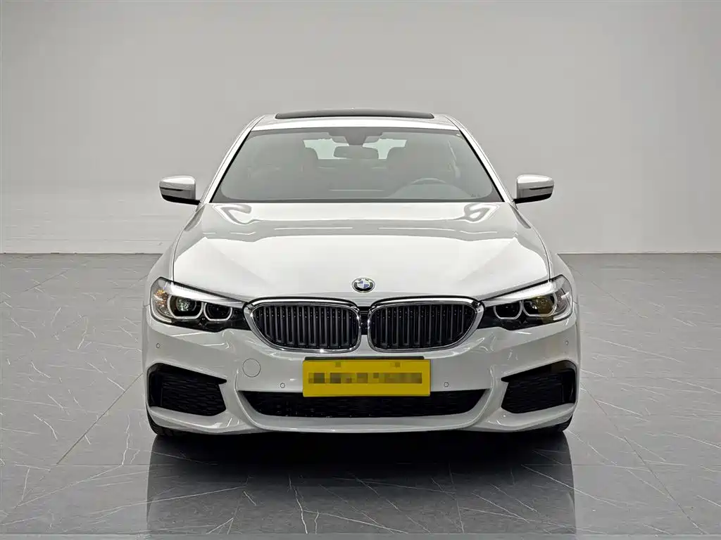 BMW 5 Series 2019 — фото 2