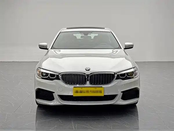 BMW 5 Series 2019