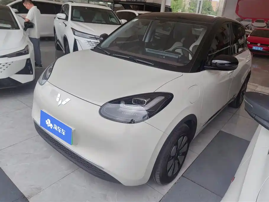 Wuling Bingo 2024