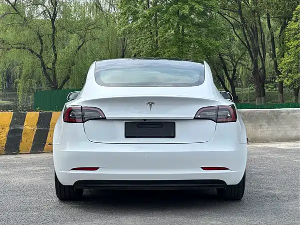 Tesla Model 3 2020