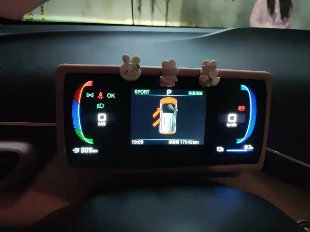 BYD Seagull 2024