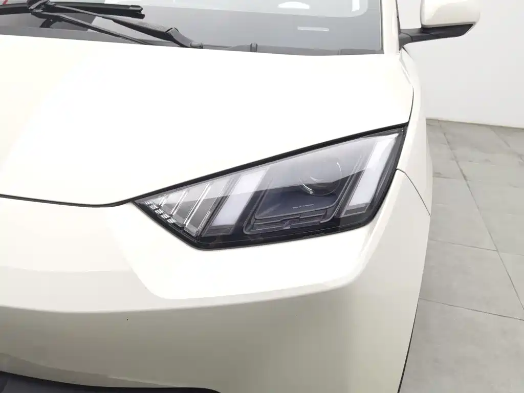 BYD Seagull 2024