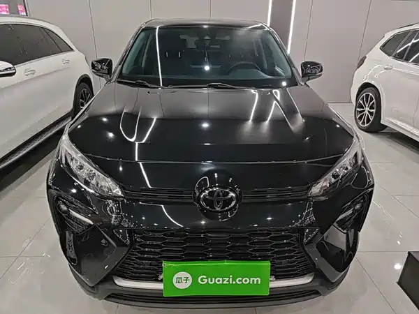 Toyota Wildlander 2020