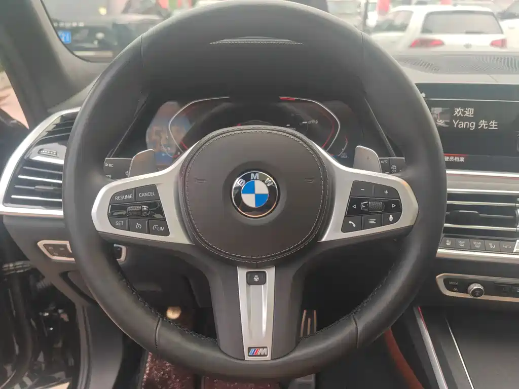 BMW X7 2022 — фото 10