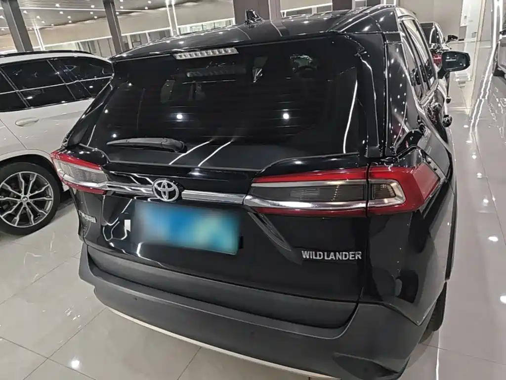 Toyota Wildlander 2020 — фото 6